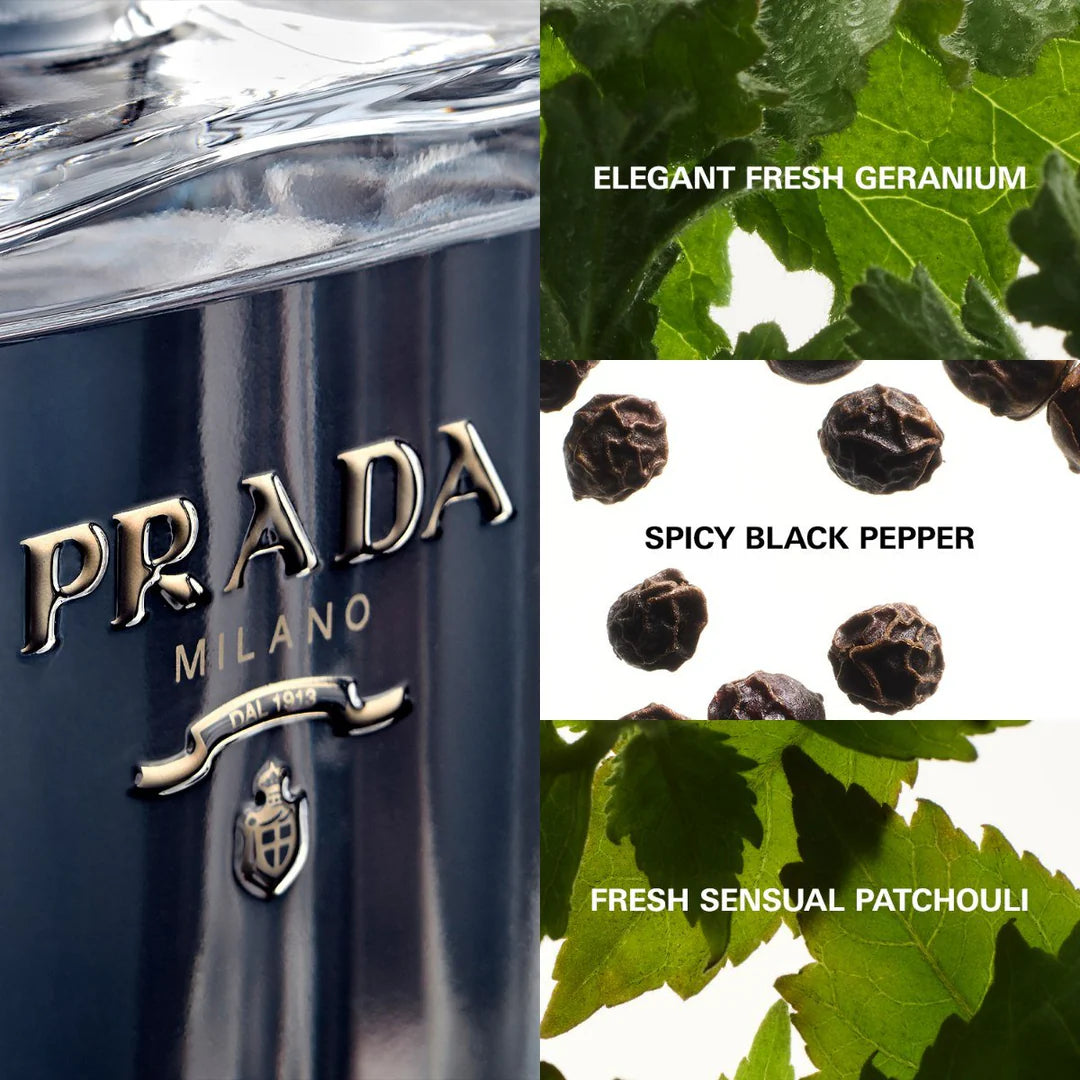 Prada L’Homme